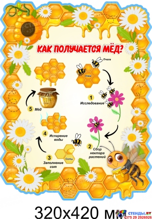 Стенд Как получается мед? 320х420 мм Стенд Как получается мед? 320х420 мм