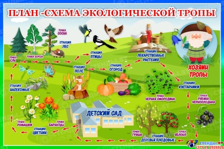 Стенд План-схема экологической тропы в зелёно-голубых тонах 600*400 мм
