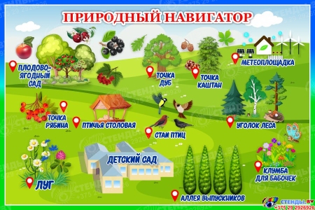 Стенд Природный навигатор в зелёно-голубых тонах 600*400 мм