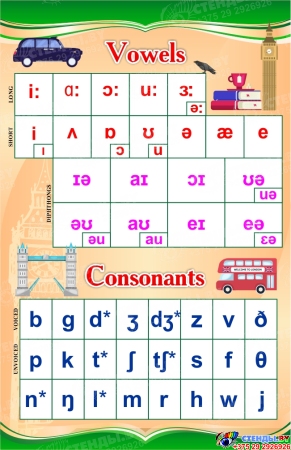 Стенд Vowels, Consonants на английском языке в зеленых тонах 550х850 мм
