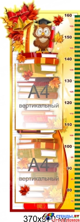 Стенд-Ростомер для начальной школы  с карманами А4  370*970мм