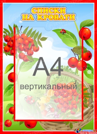 Стенд  Списки на кровати для группы Рябинка с карманом А4 315*435 мм