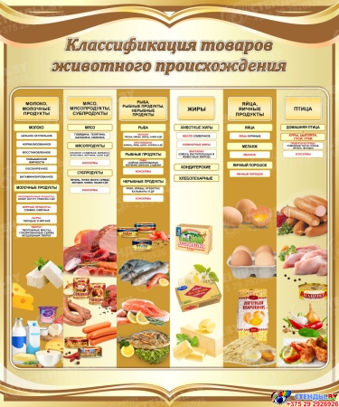 Стенд Классификация товаров животного происхождения в золотистых тонах 1000*1200 мм