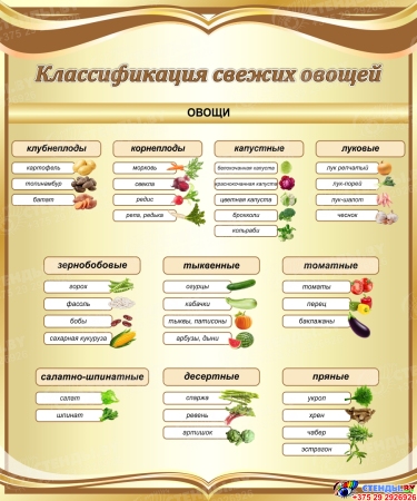 Стенд Классификация свежих овощей в золотистых тонах 1000*1200 мм