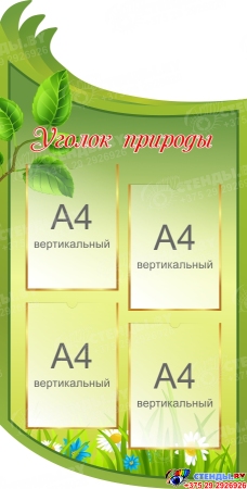 Стендовая  композиция Наша школьная жизнь в  салатовых тонах  2500*1400мм Изображение #2