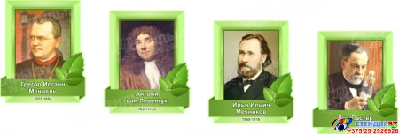 Стендовая композиция в кабинет биологии Биология - наука о жизни в салатовых тонах 4350*1720 мм Изображение #1