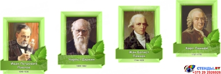 Стендовая композиция в кабинет биологии Биология - наука о жизни в салатовых тонах 4350*1720 мм Изображение #3