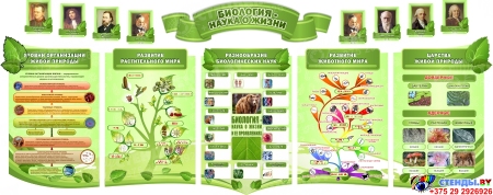 Стендовая композиция в кабинет биологии Биология - наука о жизни в салатовых тонах 4350*1720 мм