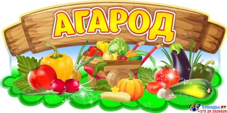 Табличка Агарод в детский сад 600*300 мм Табличка Агарод в детский сад 600*300 мм