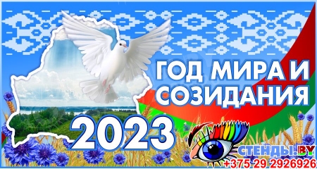 Баннер Год мира и созидания 2023