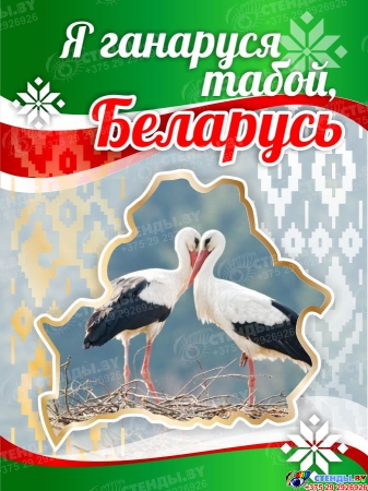 Баннер Я ганаруся табой, Беларусь с аистами