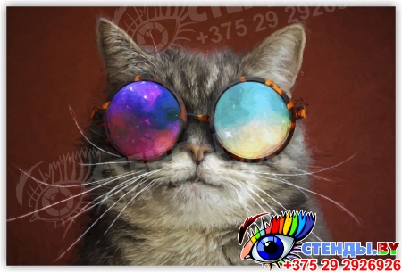 Картина на холсте Кот в космических очках