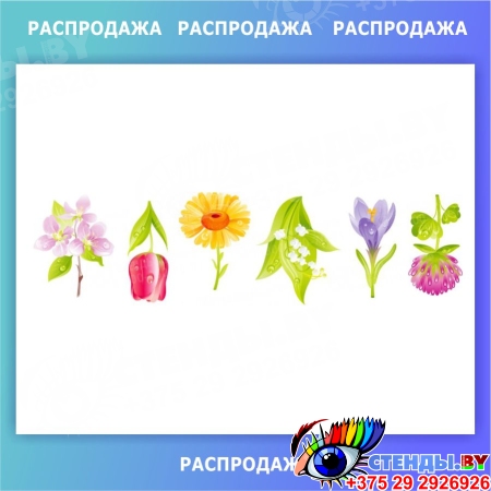 Комплект наклеек Весенние цветы 6 шт 550*150 мм СКИДКА