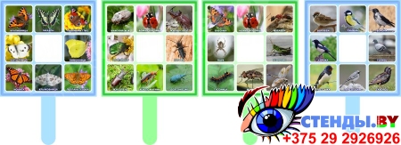 Комплект табличек Бабочки, насекомые, жуки, птицы