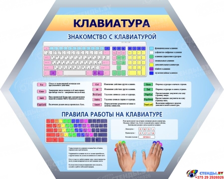 Композиция из гексов в кабинете информатики 4000*1100 мм Изображение #8