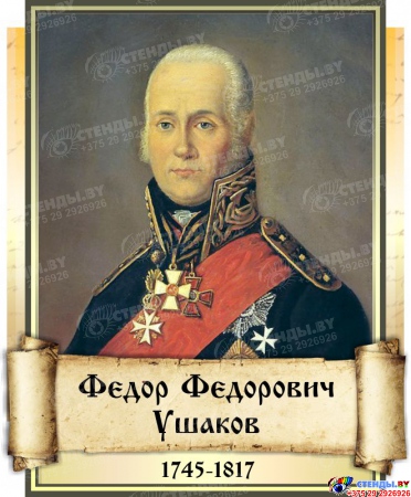 Комплект стендов портретов Великие Русские Полководцы в золотистых тонах  330*400 мм Изображение #6