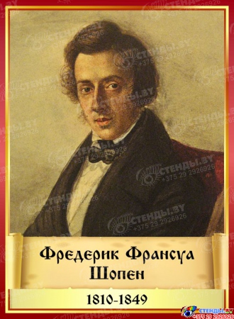 Комплект стендов портретов Великих композиторов 7 шт. в золотисто-красных тонах на темном фоне 220*300 мм Изображение #3