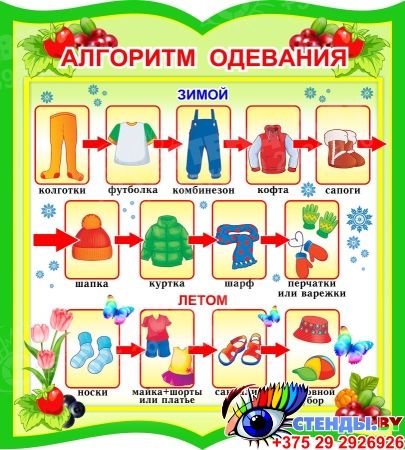 Стенд фигурный Алгоритм одевания в зеленых тонах 270*300мм