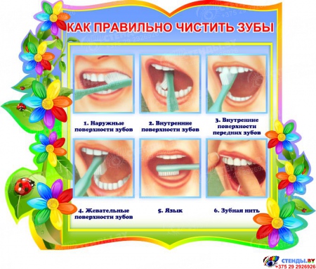 Стенд фигурный Как правильно чистить зубы для группы Семицветик 380*320 мм