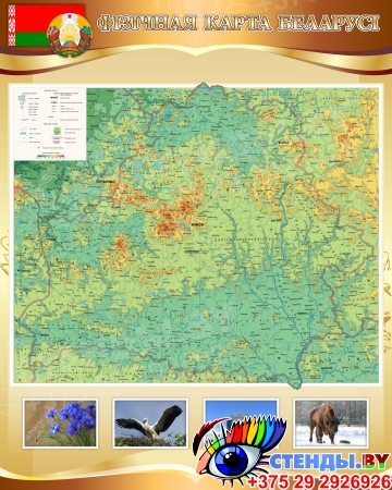 Стенд Фiзiчная карта Беларусi в золотисто-коричневых тонах 600*750 мм