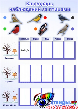 Стенд Календарь наблюдений за птицами 300*420 мм