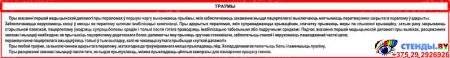 Композиция Асновы Бяспекi Жыццядзейнасцi на белорусском языке 1820*890мм Изображение #6