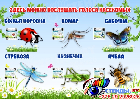 Стенд Здесь можно послушать голоса насекомых 420*300 мм