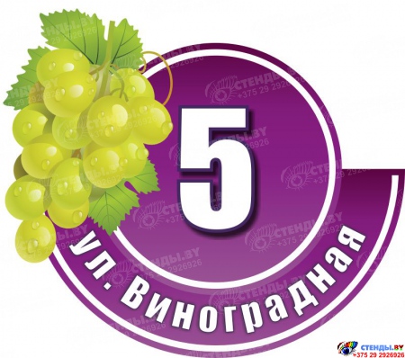 Табличка Номер дома и название улицы в фиолетовых тонах с зеленым виноградом 440х380 мм