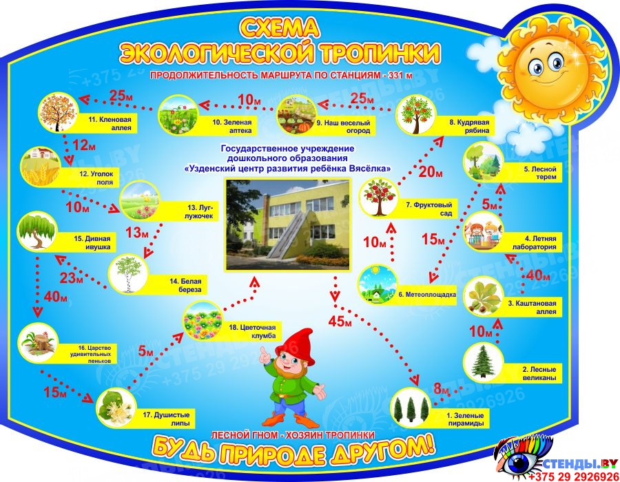 Схема экологической тропы в детском саду
