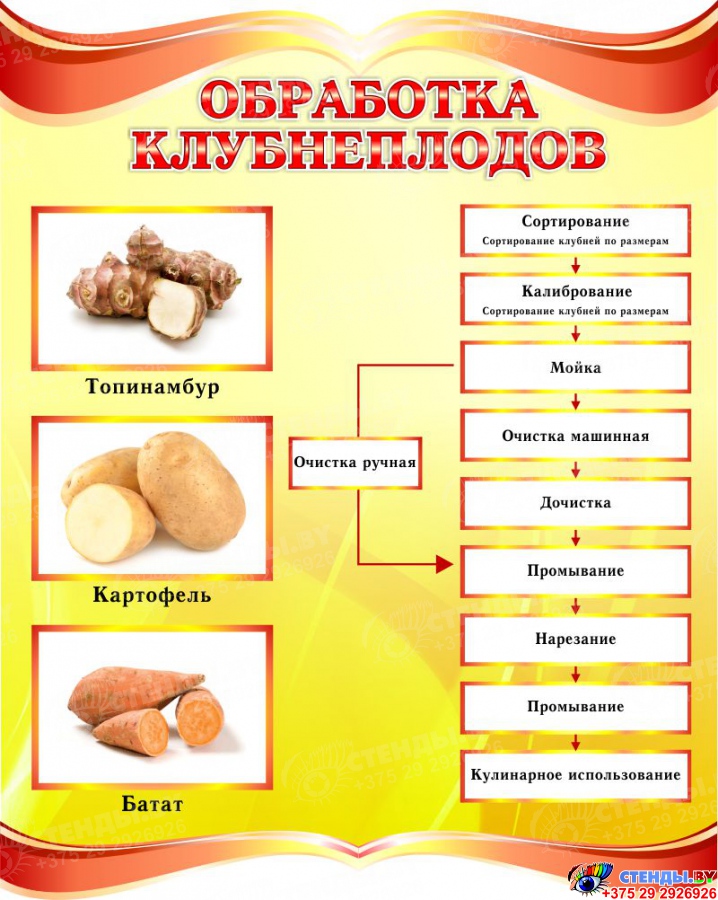 Процесс обработки клубнеплодов