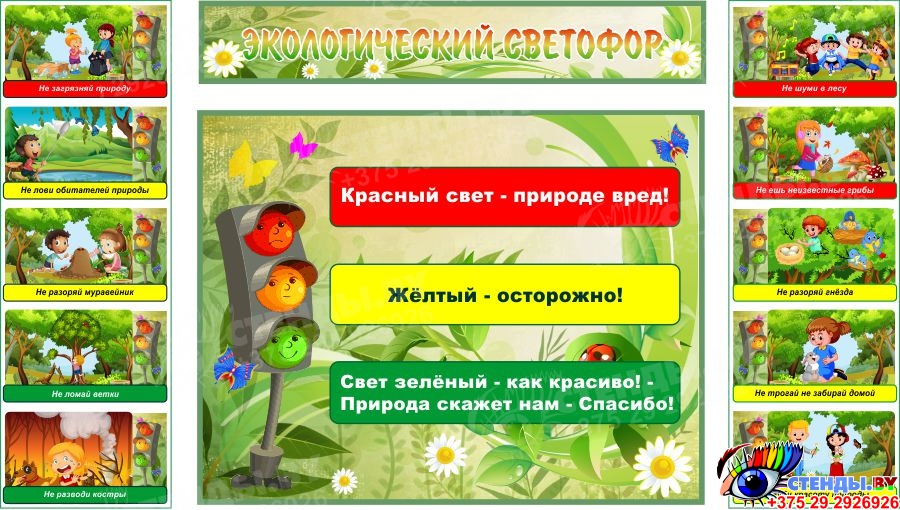 Экологический светофор для дошкольников картинки