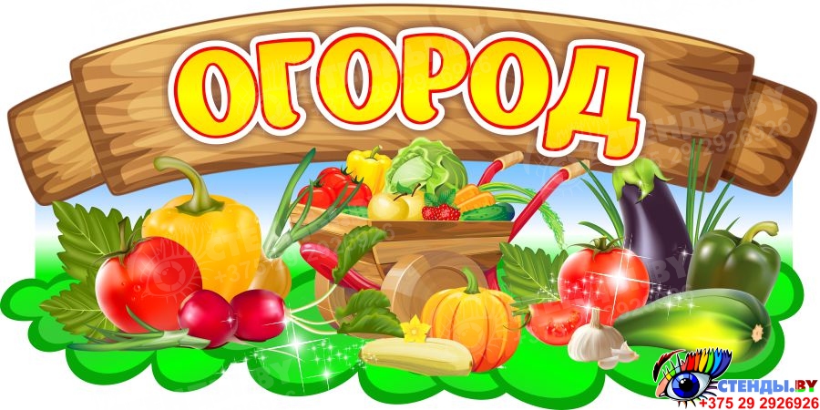 Купить Табличка Огород в детский сад 400*200 мм 📄 с доставкой по ...