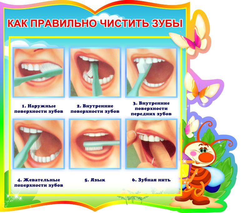 Зубы нужно чистить до или после завтрака. Алгоритм чистки зубов для детей. Правильно чистить зубы. Схема чистки зубов. Как правильно чистить зубы картинки.
